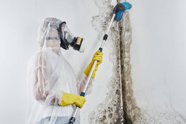 Water Damage Restoration in San Rafael, NM