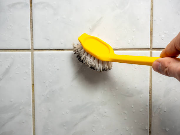  San Rafael, NM Mold Removal Pros