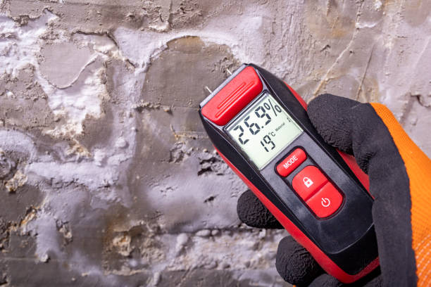 Best Emergency Mold Removal  in San Rafael, NM